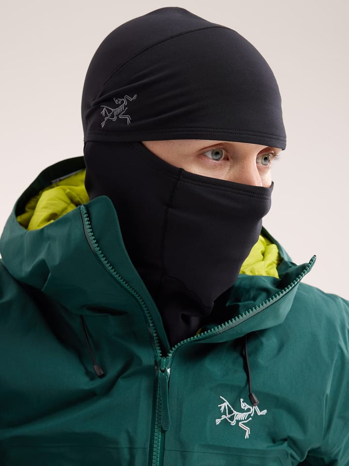 Arc'teryx Rho Balaclava Black Arc'teryx Arc'teryx Rho Balaclava Black Arc'teryx