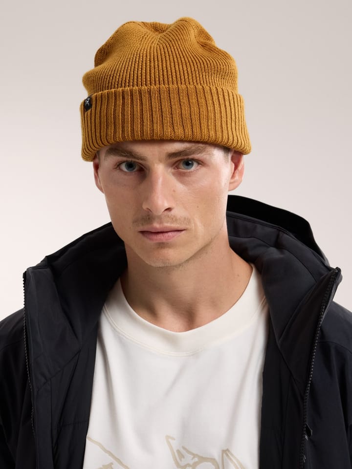 Arc'teryx Mallow Toque Black Arc'teryx Arc'teryx Mallow Toque Black Arc'teryx