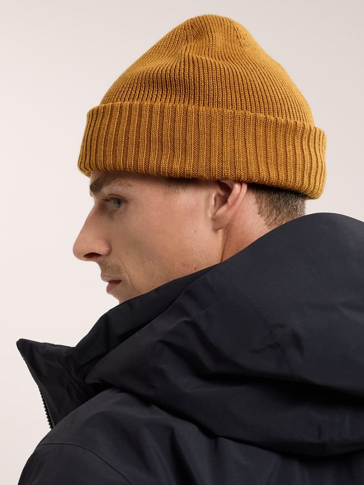 Arc'teryx Mallow Toque Black Arc'teryx