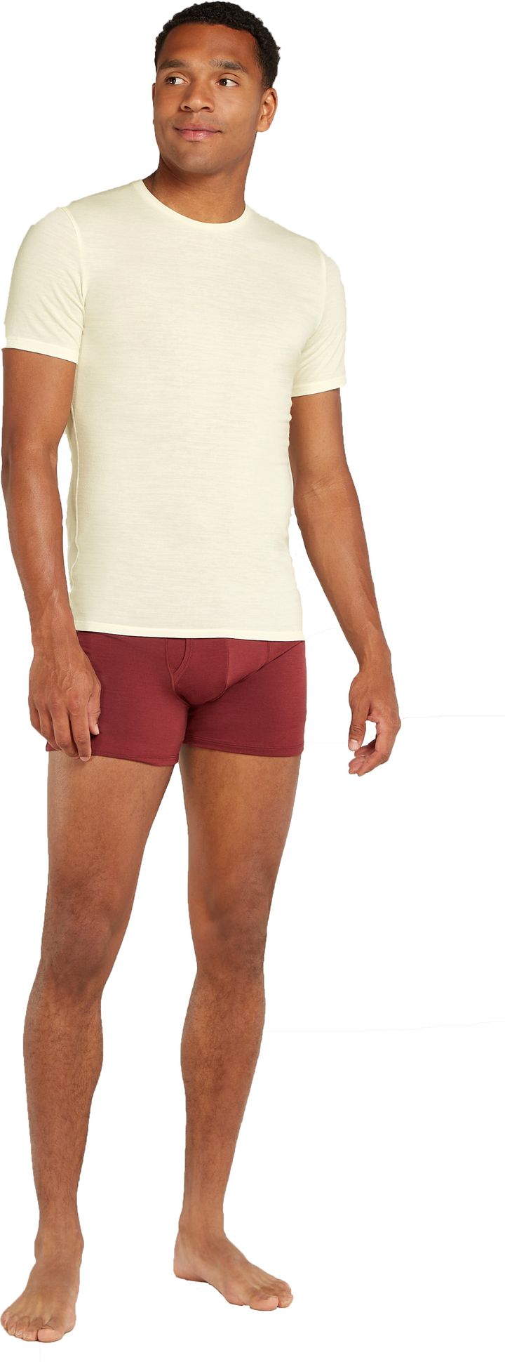 Icebreaker Men's Anatomica Shortsleeve Crewe Undyed Icebreaker