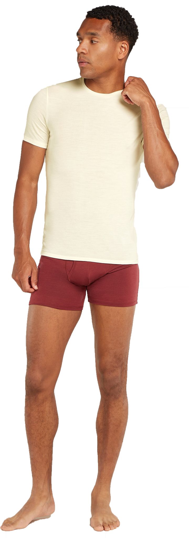 Icebreaker Men's Anatomica Shortsleeve Crewe Undyed Icebreaker