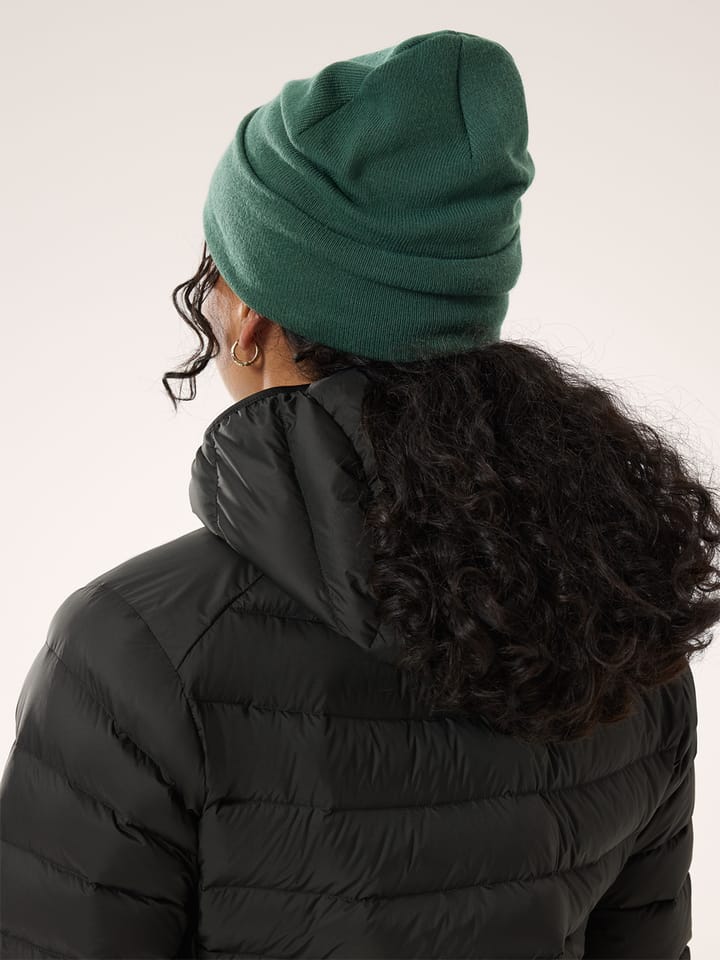 Arc'teryx Word Toque Eden Arc'teryx
