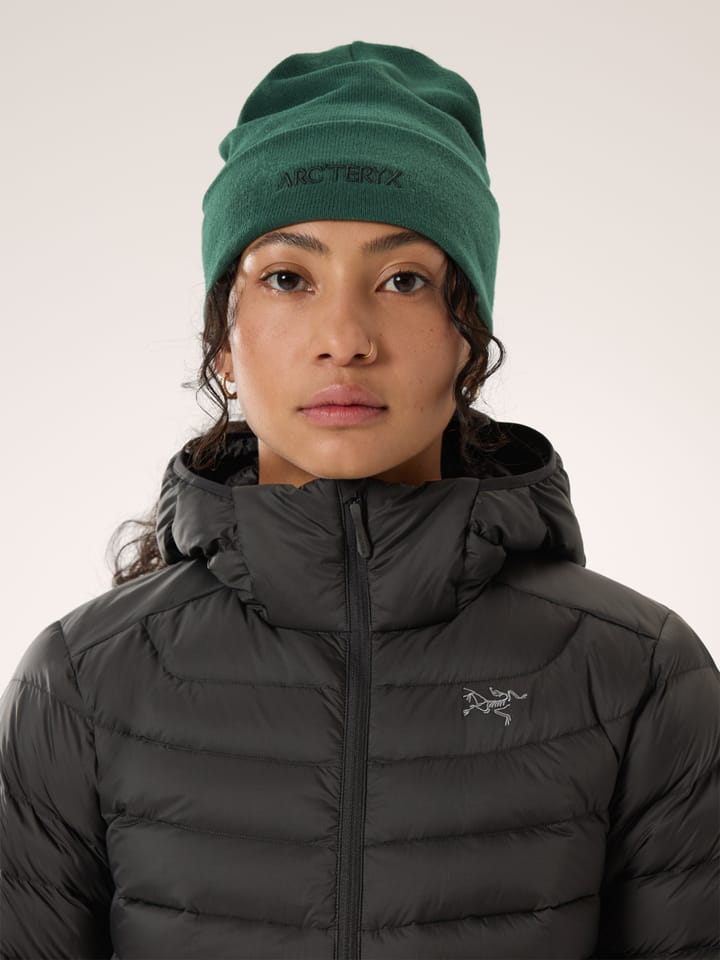 Arc'teryx Word Toque Eden Arc'teryx