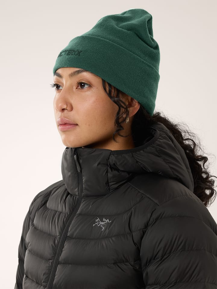 Arc'teryx Word Toque Eden Arc'teryx