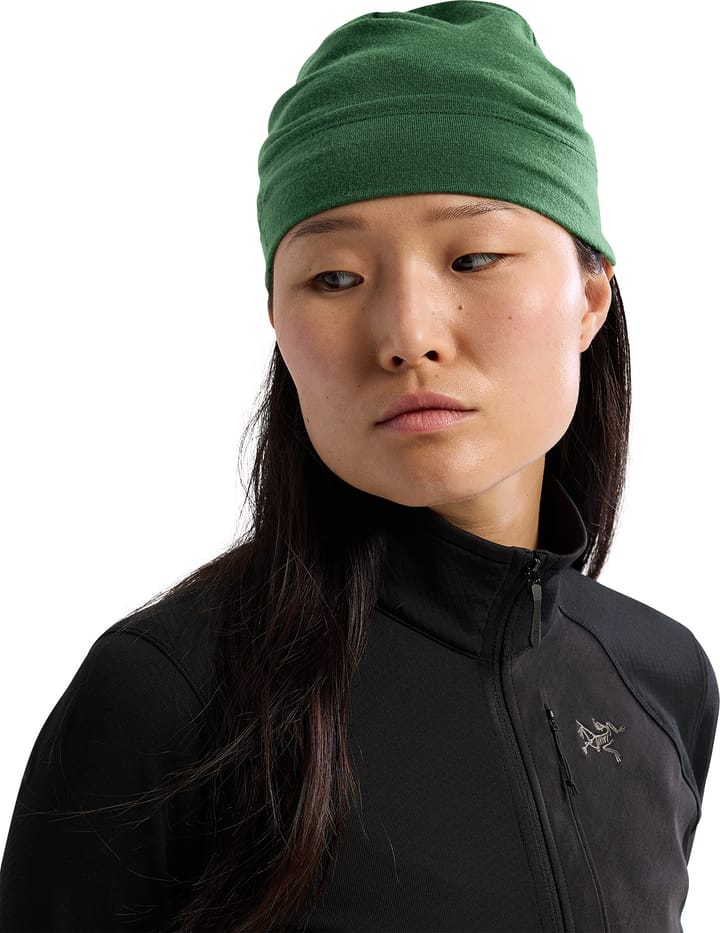 Arc'teryx Rho Lightweight Wool Toque Eden Arc'teryx