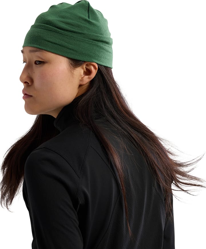 Arc'teryx Rho Lightweight Wool Toque Eden Arc'teryx Arc'teryx Rho Lightweight Wool Toque Eden Arc'teryx
