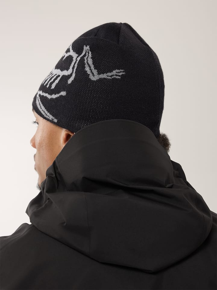 Arc'teryx Bird Head Toque Black/Void Arc'teryx