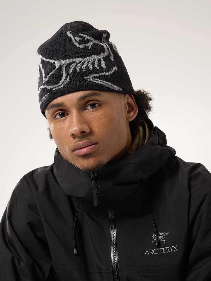 Arc'teryx Bird Head Toque Black/Void Arc'teryx