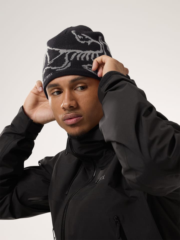 Arc'teryx Bird Word Toque Black/Void Arc'teryx