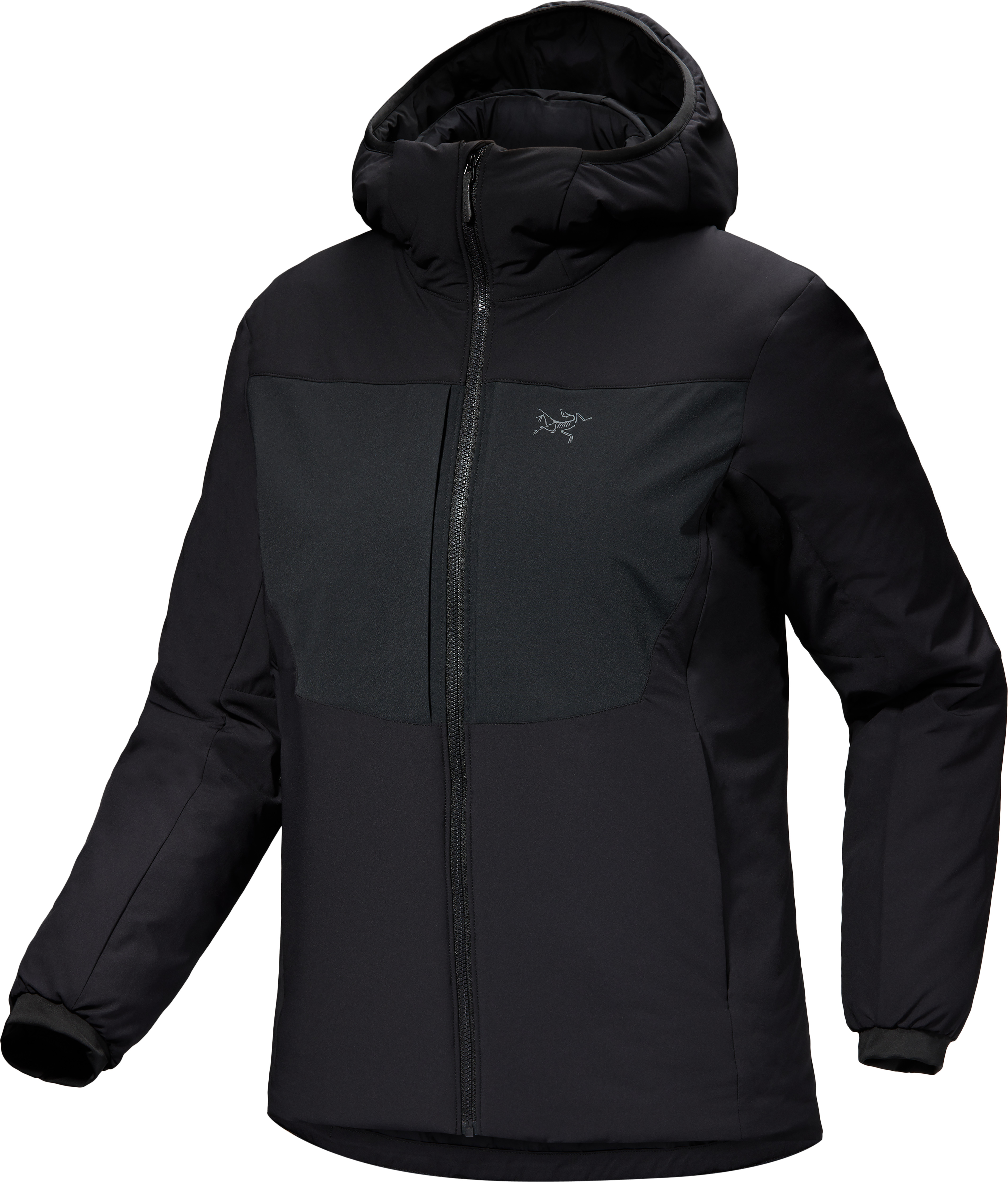 Arc'teryx Women's Proton Heavyweight Hoody Black Dunjakker varmforede S