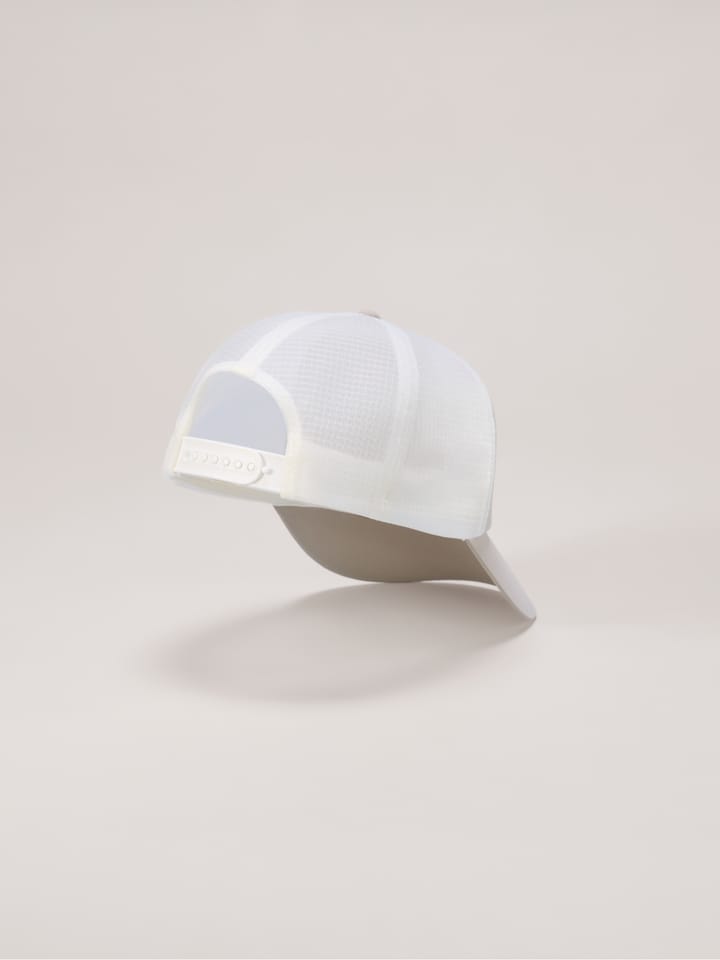 Arc'teryx Unisex Bird Word Trucker Curved Rune / Arctic Silk Arc'teryx Arc'teryx Unisex Bird Word Trucker Curved Rune / Arctic Silk Arc'teryx