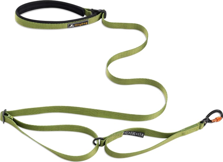 OllyDog Flagstaff Adjustable Leash  Cactus OllyDog