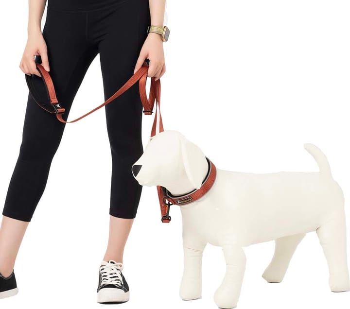 OllyDog Flagstaff Adjustable Leash  Clay OllyDog