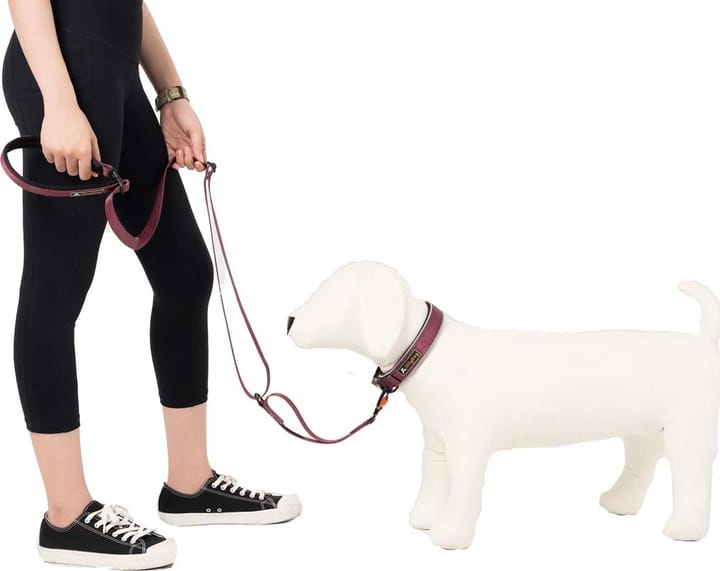 OllyDog Flagstaff Adjustable Leash  Rosewood OllyDog