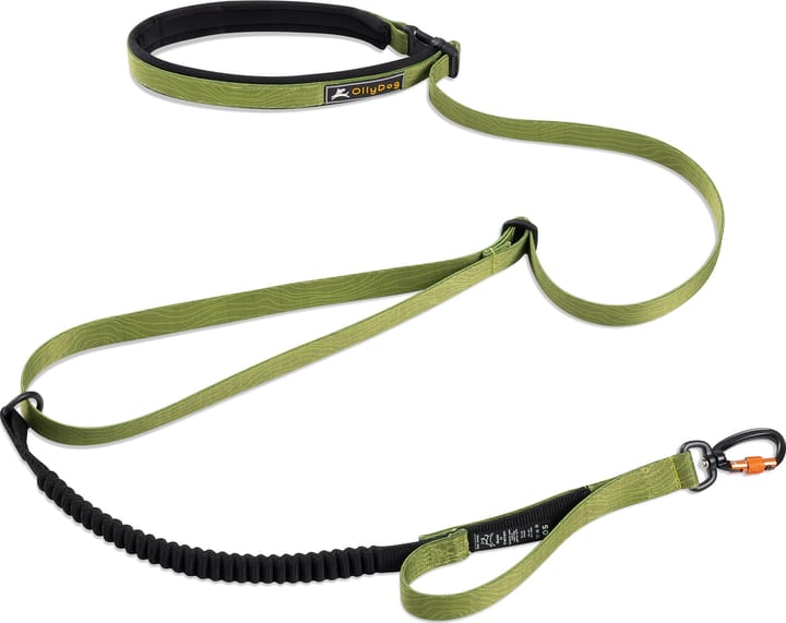 OllyDog Flagstaff Adjustable Spring Leash Cactus OllyDog