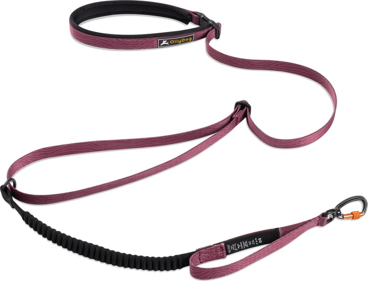 OllyDog Flagstaff Adjustable Spring Leash Rosewood OllyDog