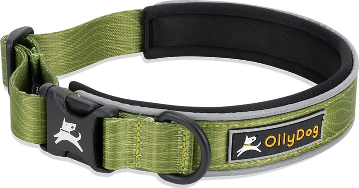 OllyDog Flagstaff Reflective Comfort Collar Cactus OllyDog