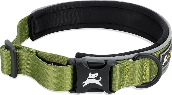 OllyDog Flagstaff Reflective Comfort Collar Cactus OllyDog