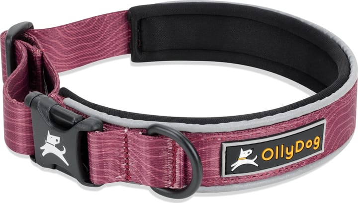 OllyDog Flagstaff Reflective Comfort Collar Rosewood OllyDog