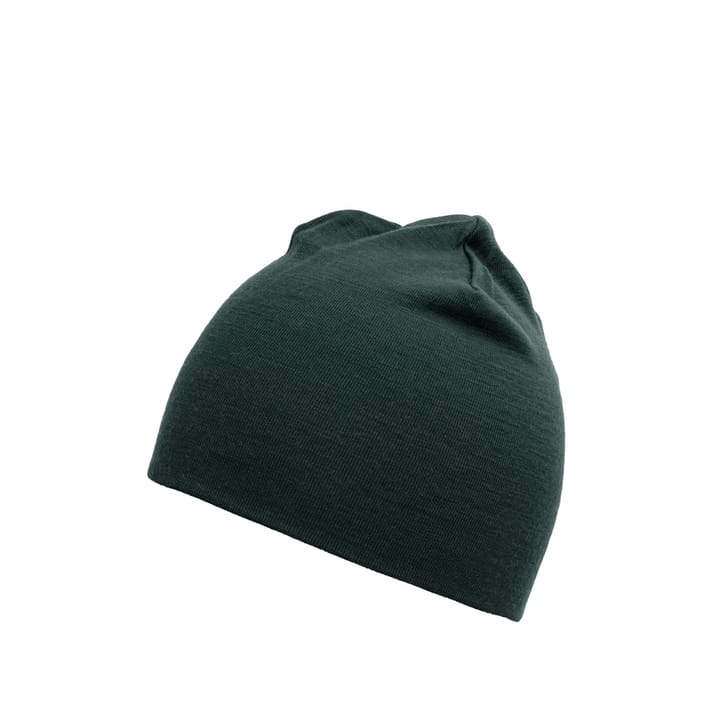 Devold Lauparen Merino 190 Beanie Woods 58 Devold