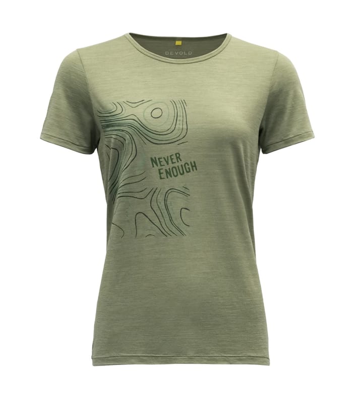 Devold Hellesylt Merino 130 Tee Wmn Lichen Devold