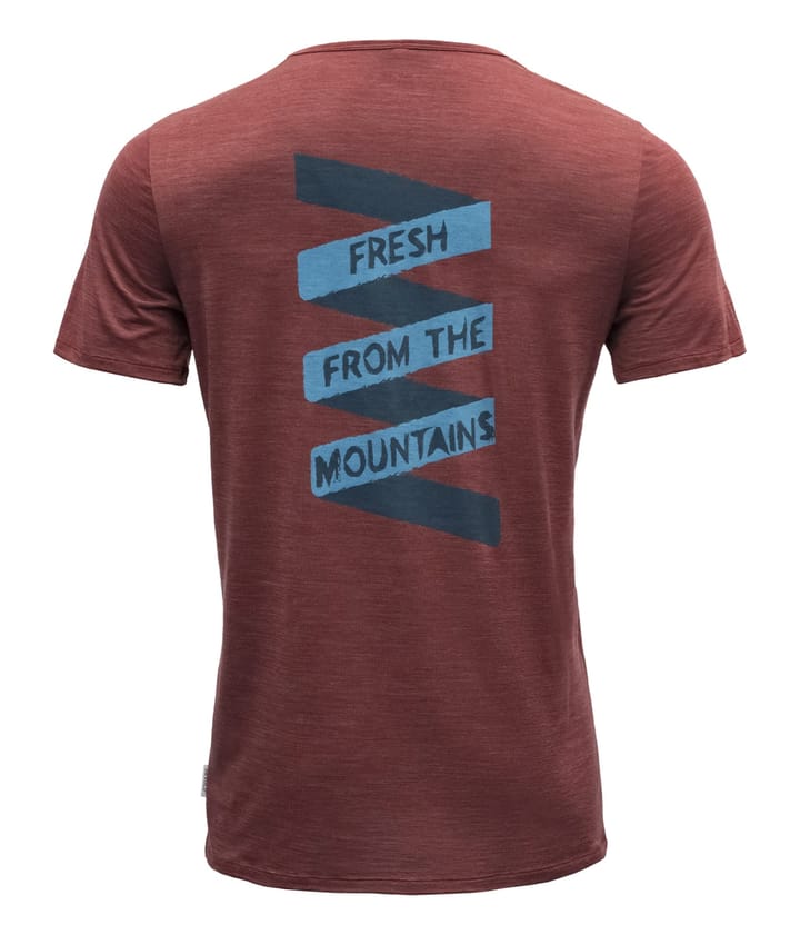 Devold Ramoen Merino 130 Tee Man Syrah Devold