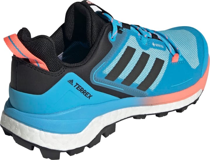 Adidas Terrex Skychaser 2 GTX W Skyrus/Gresix/Acired Adidas Adidas Terrex Skychaser 2 GTX W Skyrus/Gresix/Acired Adidas