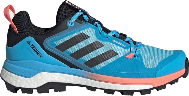 Adidas Terrex Skychaser 2 GTX W Skyrus/Gresix/Acired Adidas