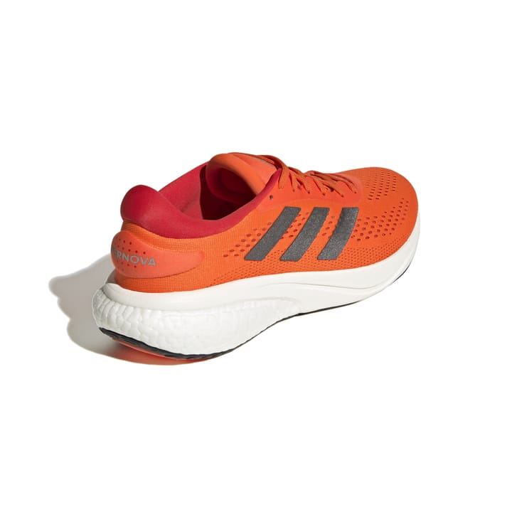 Adidas SUPERNOVA 2 M IMPORA/NGTMET/VIVRED Adidas
