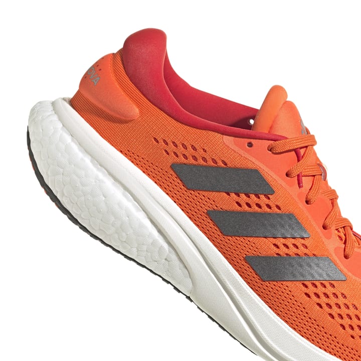 Adidas SUPERNOVA 2 M IMPORA/NGTMET/VIVRED Adidas