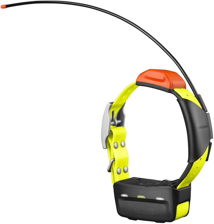 Garmin T 5x-Hundehalsbånd Garmin Garmin T 5x-Hundehalsbånd Garmin
