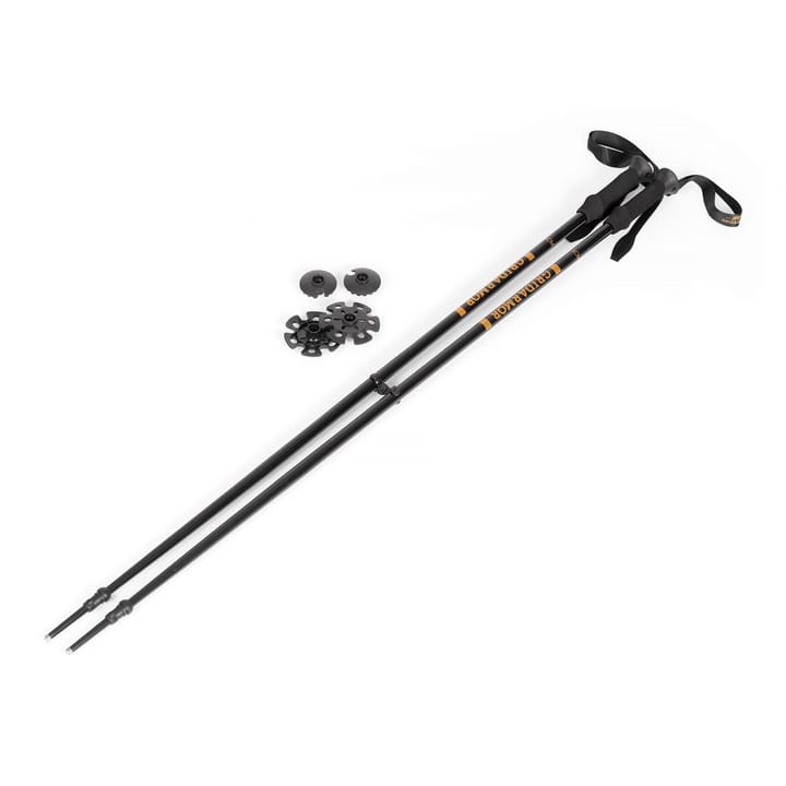 Hafjell Ski Pole Black/Butternut Gridarmor