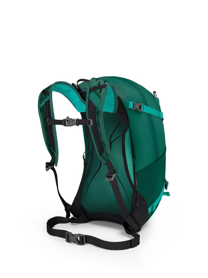 Osprey Hikelite 26 Aloe Green Osprey Osprey Hikelite 26 Aloe Green Osprey