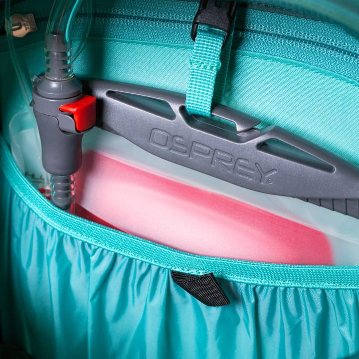 Osprey Hikelite 26 Aloe Green Osprey