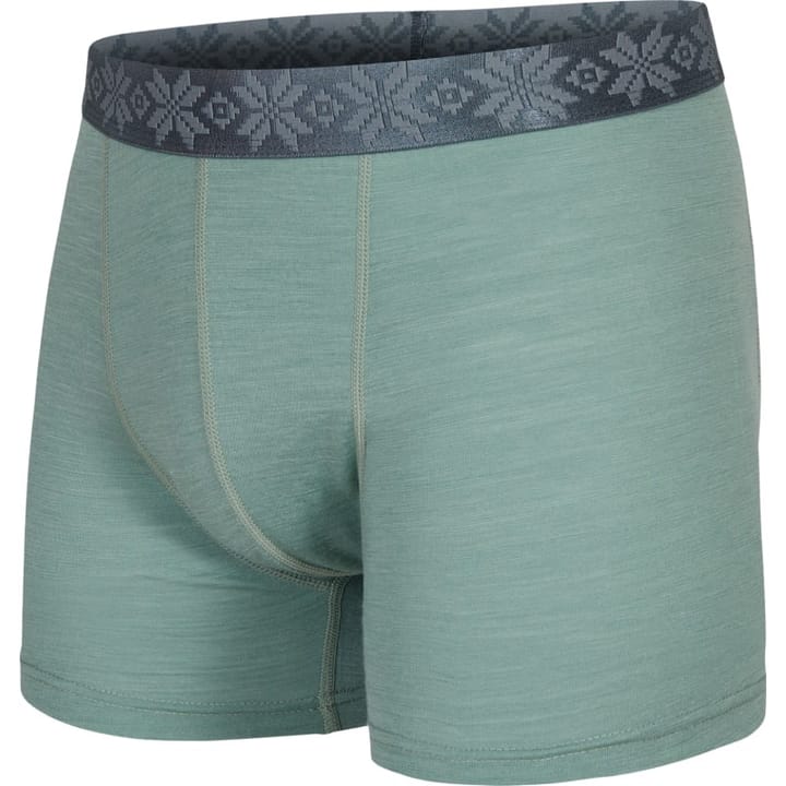 Gridarmor Men's Finse Merino Boxers Green Bay Gridarmor