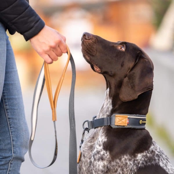 Seleverkstedet Link Dog Lead Grå/Brun 180 cm Seleverkstedet