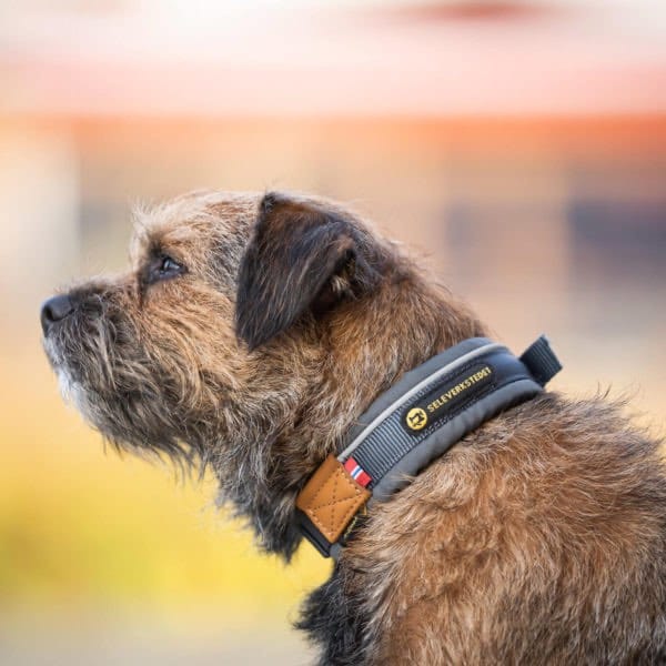 Seleverkstedet Unify Dog Collar Grå/Brun M Seleverkstedet