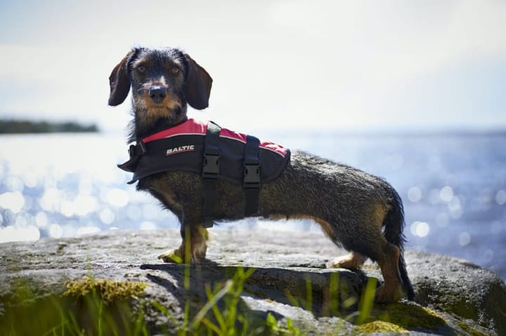 Baltic Mascot Flytevest til Hund Black/Uv-Yellow 40+kg Baltic