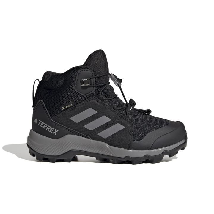 Adidas Terrex Mid Gtx K Cblack/Grethr/Cblack Adidas