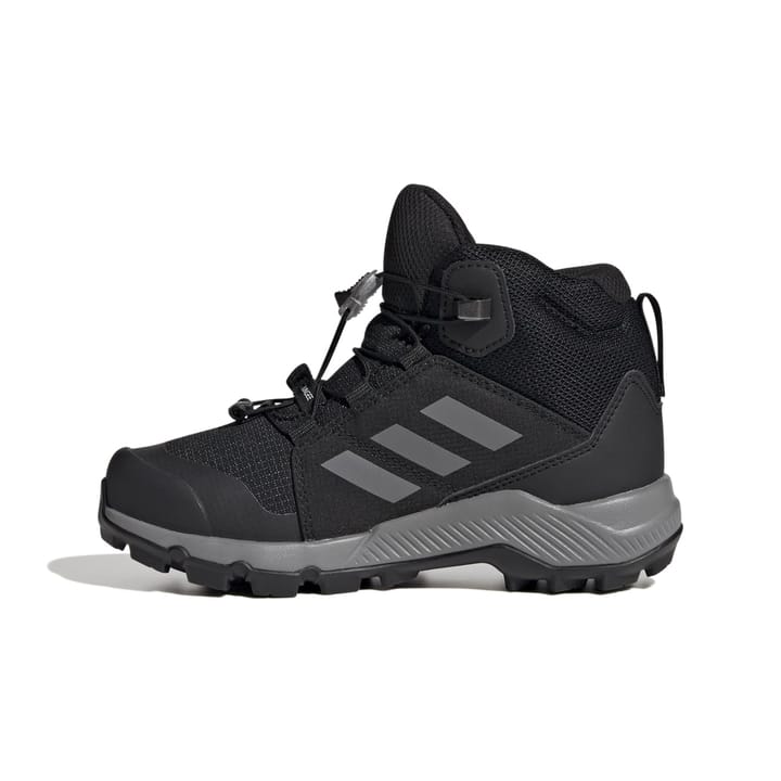 Adidas Terrex Mid Gtx K Cblack/Grethr/Cblack Adidas