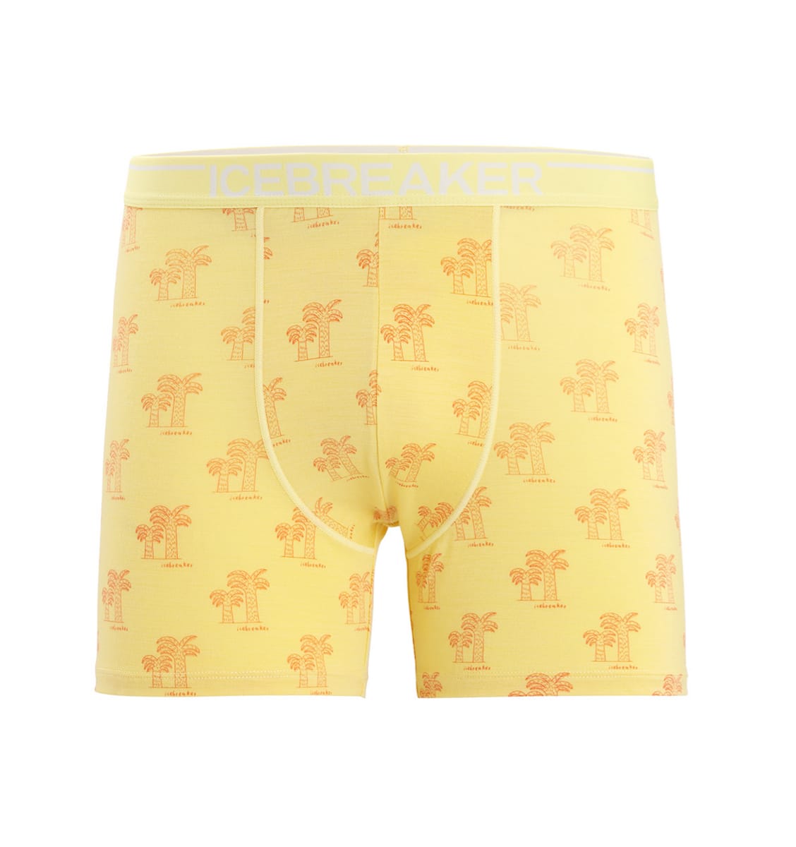 Icebreaker Men Anatomica Boxers Summer/Aop