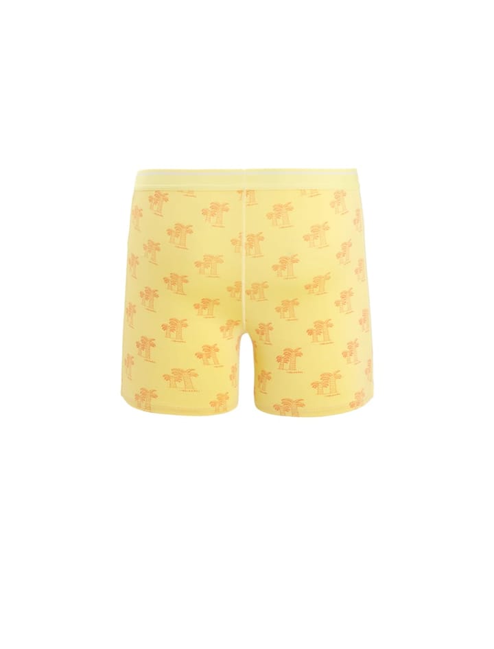 Icebreaker Men's Anatomica Boxers SUMMER/AOP Icebreaker