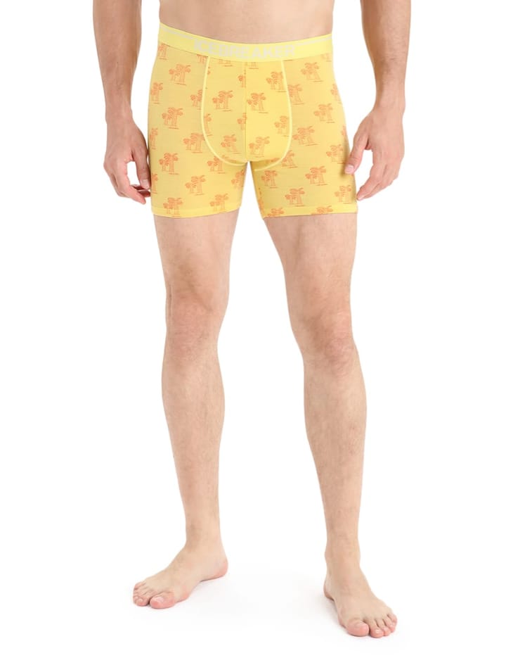 Icebreaker Men's Anatomica Boxers SUMMER/AOP Icebreaker
