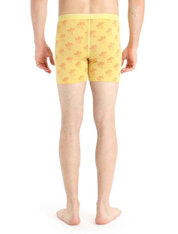 Icebreaker Men's Anatomica Boxers SUMMER/AOP Icebreaker