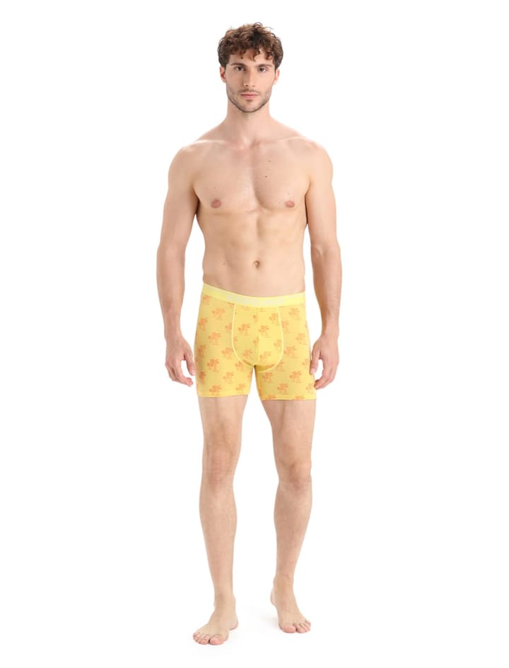Icebreaker Men's Anatomica Boxers SUMMER/AOP Icebreaker
