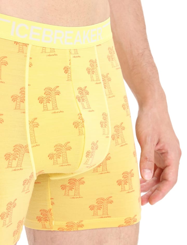 Icebreaker Men's Anatomica Boxers SUMMER/AOP Icebreaker