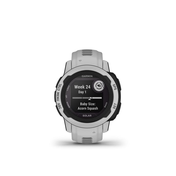 Garmin Instinct 2s Solar Mist Gray Garmin
