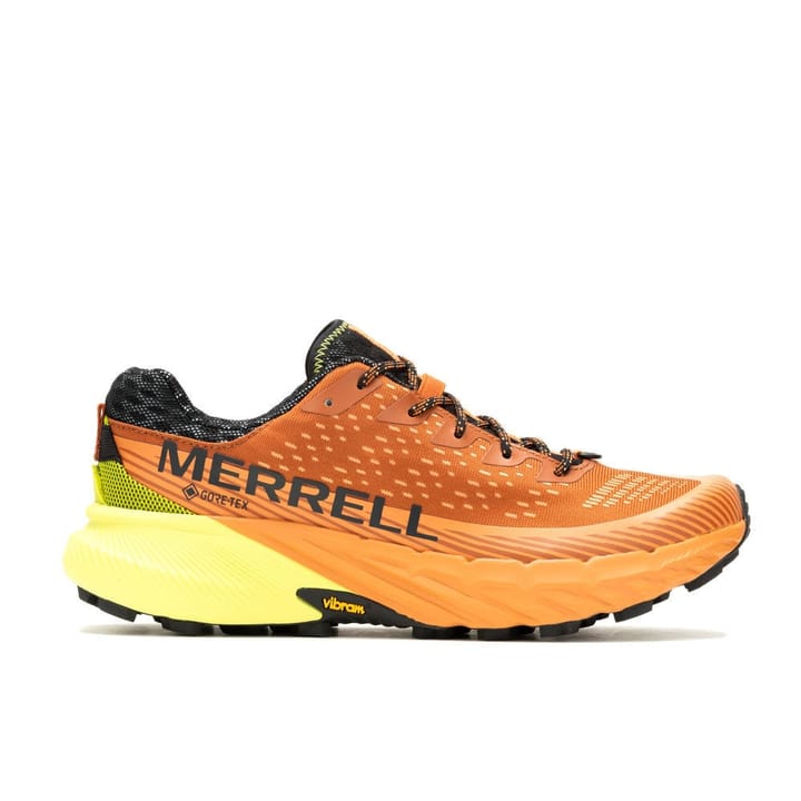 Merrell Agility Peak 5 Gtx Clay/Melon Merrell