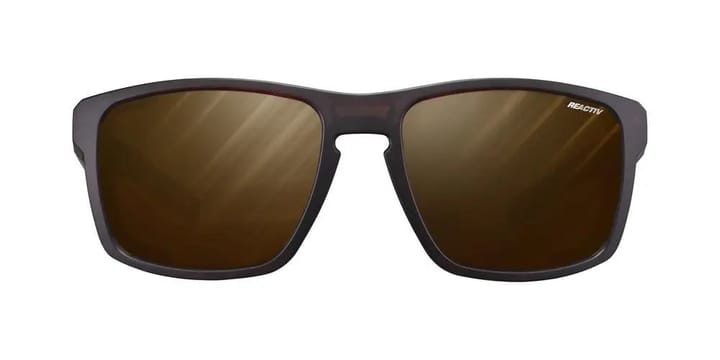 Julbo Shield Brown / Black Reactiv 2-4 Polarized L