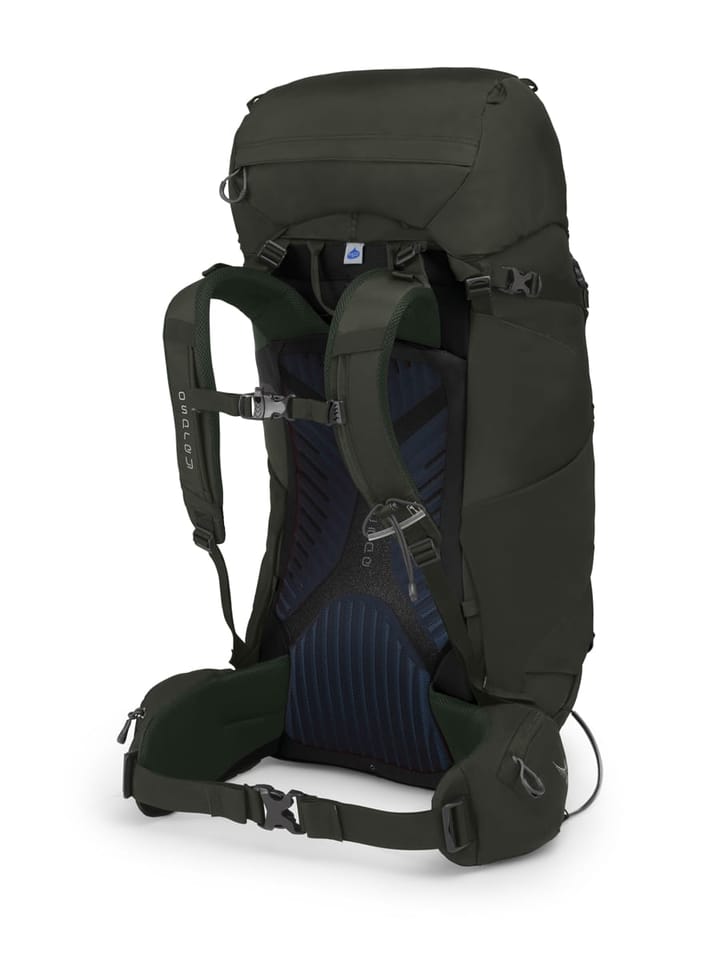 Osprey Kestrel 68 Picholine Green Osprey